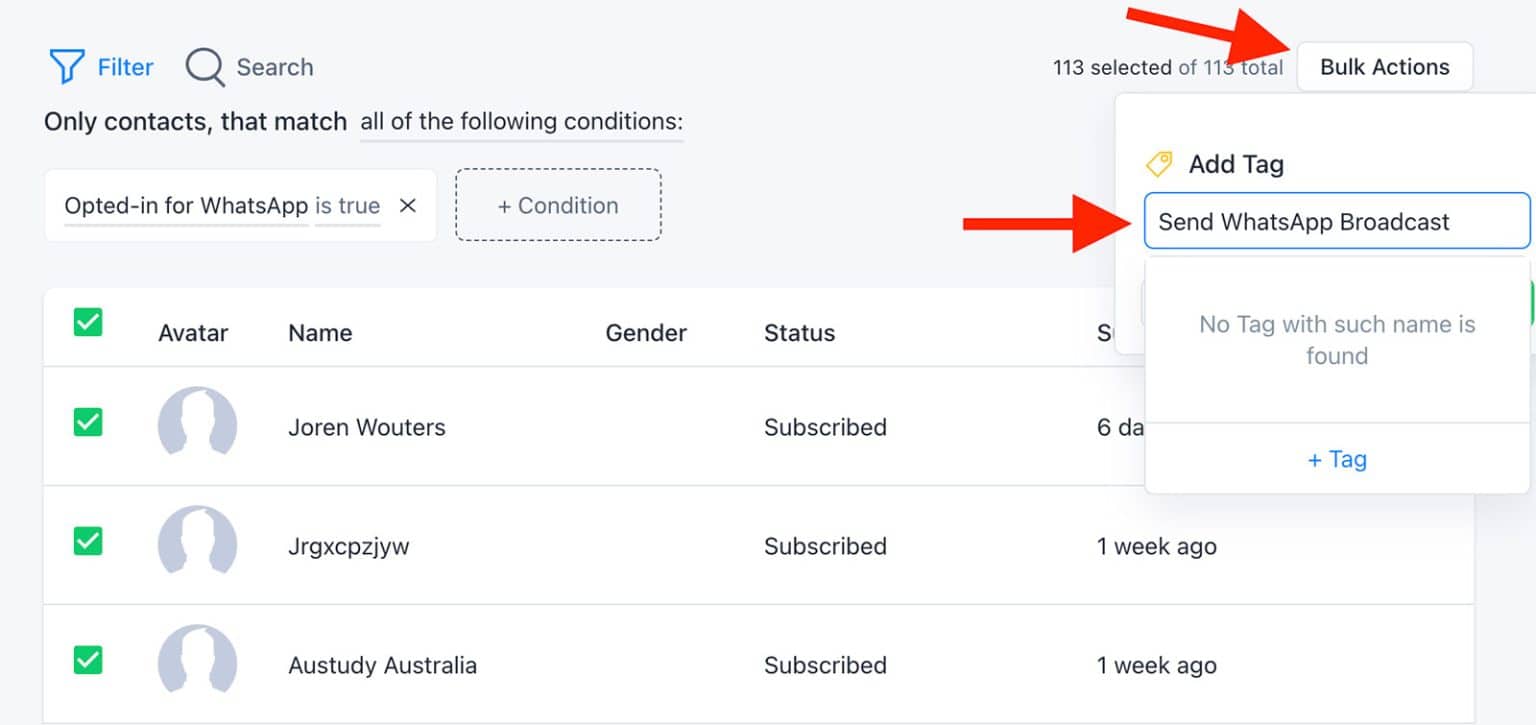 How To Send Promotional Broadcasts on WhatsApp in 2024